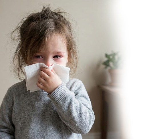 Air Ducts Cleaners Kemah TX